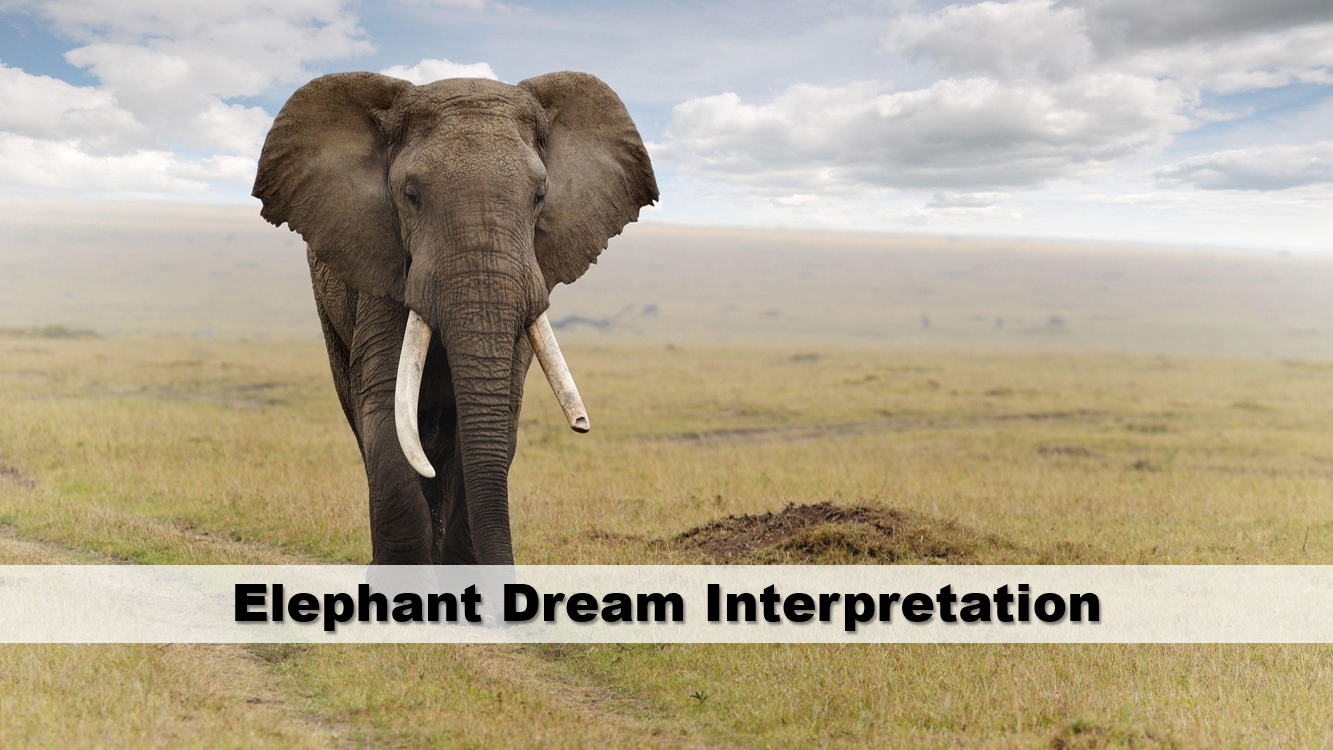 Elephant Dream Interpretation