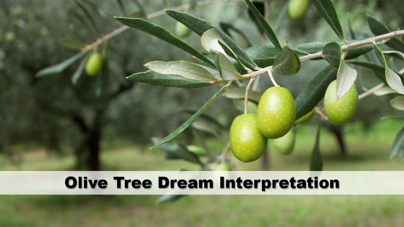 Olive Tree Dream Interpretation