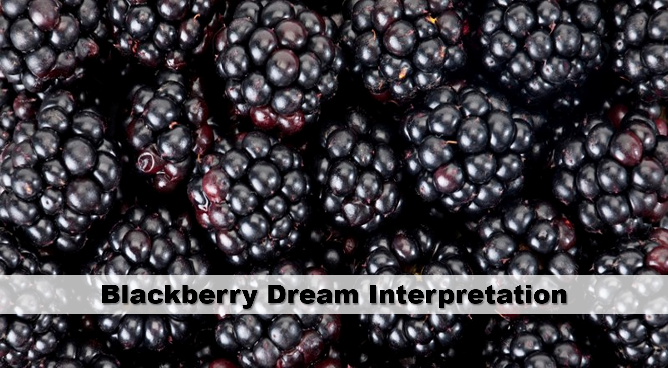 Blackberry Dream Interpretation