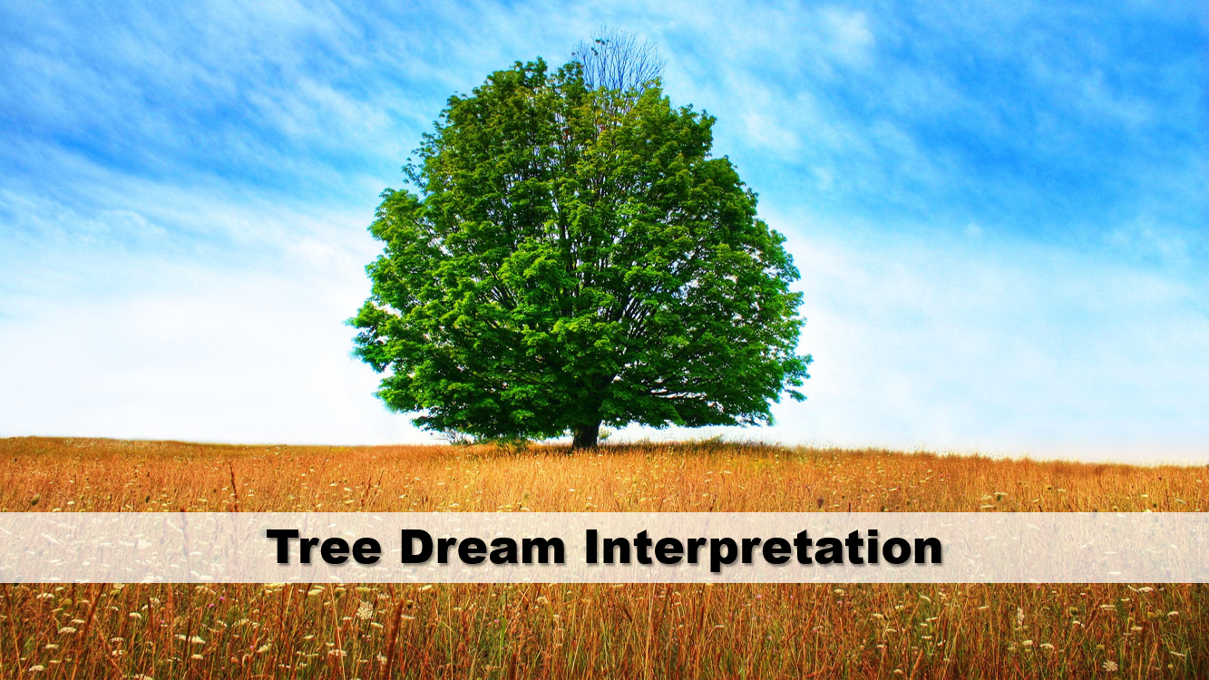 Tree Dream Interpretation