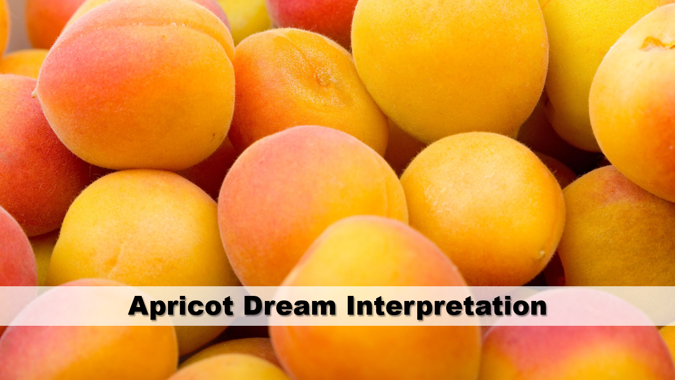 Apricot Dream Interpretation