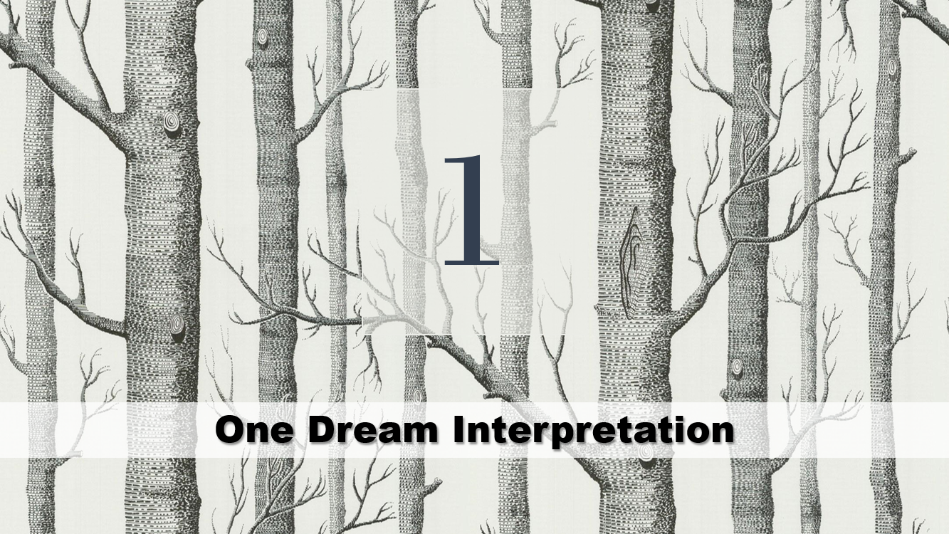 One Dream Interpretation