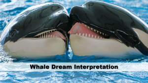 Whale Dream Interpretation