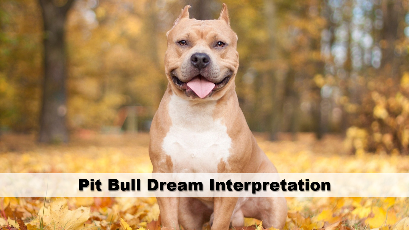 Pit Bull Dream Interpretation