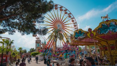 Amusement Park Dream Interpretation